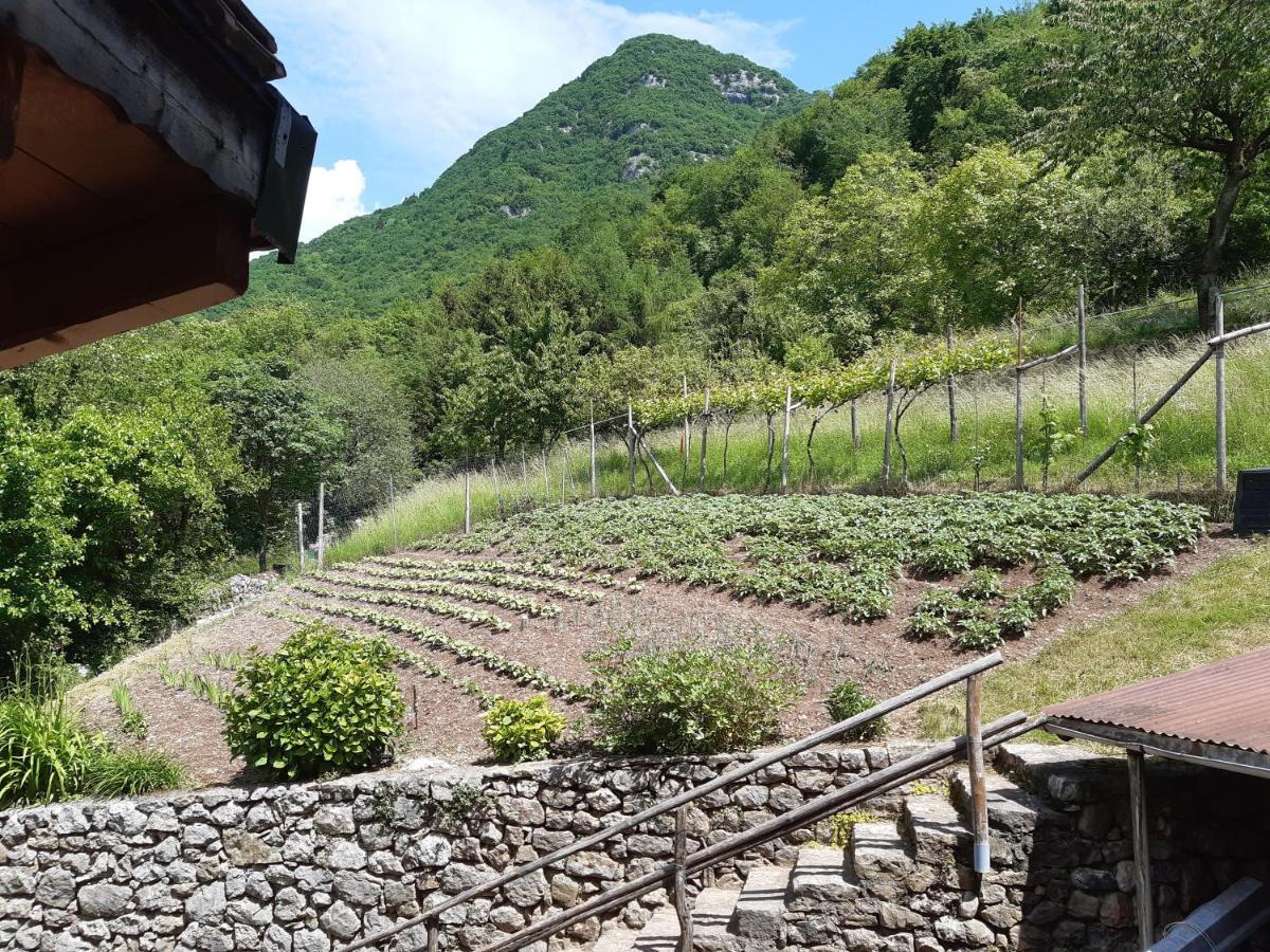 Ca' Berti Appartamento Con Terrazza Ville Del Monte Tenno Kültér fotó